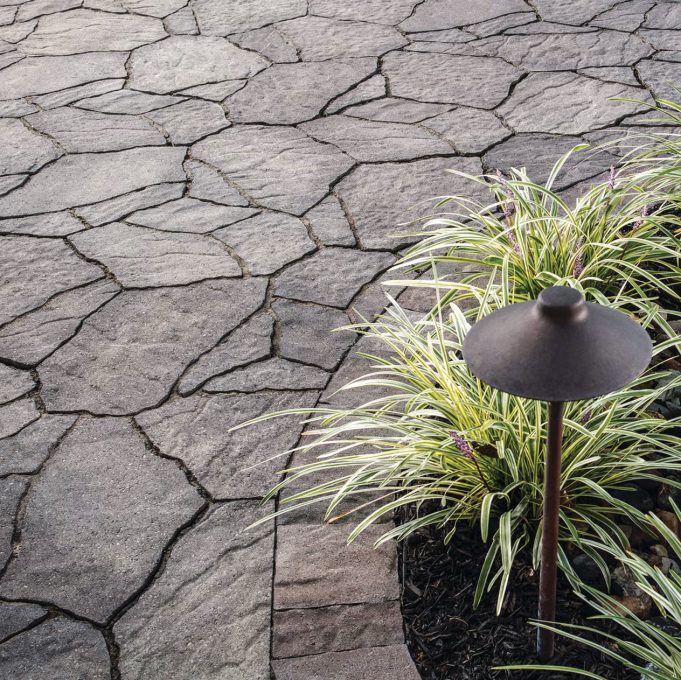 Mega Arbel Backyard
