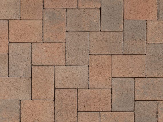 Antique Cobble i pattern Cream Terracotta Brown color
