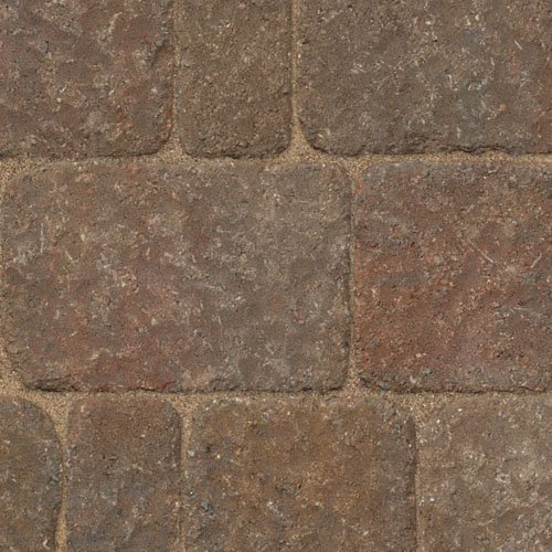 Fossil
